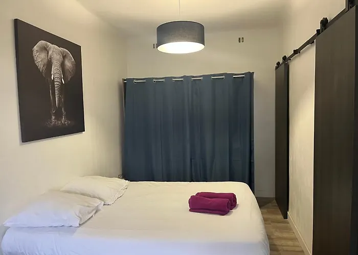 L\'Eden - Joli studio en centre ville